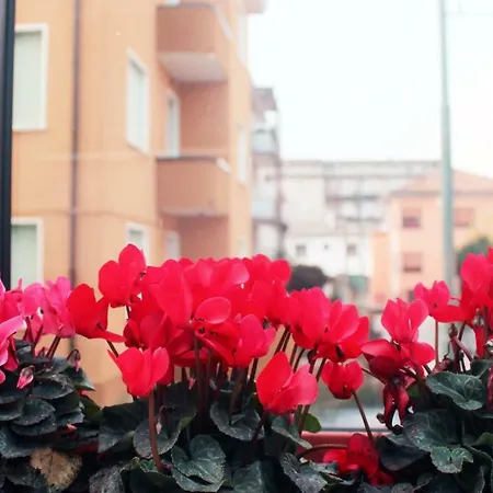 Eden Venice بيت ضيافة 3*