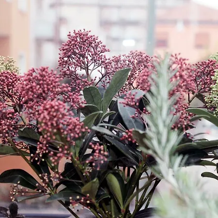 بيت ضيافة Eden Venice 3*