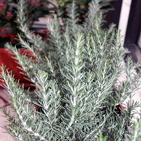 Eden Venice Maison d'hôtes 3*