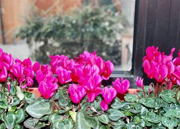 Eden Venice Гостевой дом 3*