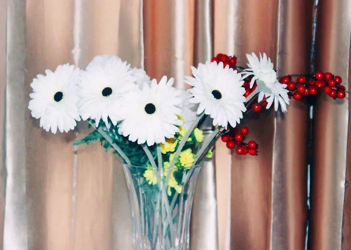 Eden Venice 3* Mestre