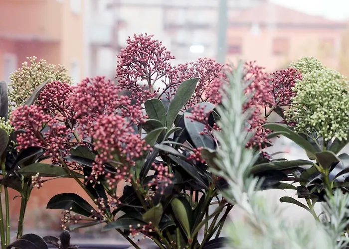 Pensión Eden Venice 3*