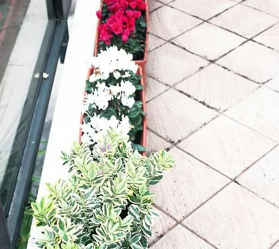 Eden Venice Гостевой дом Местре