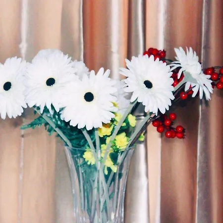 Eden Venice 3* Μέστρε