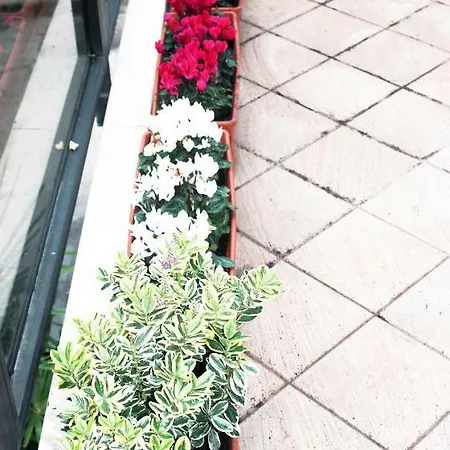 Eden Venice Πανσιόν Μέστρε